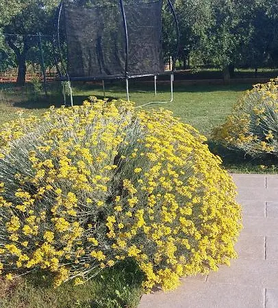 House Fontanele Ferienhaus