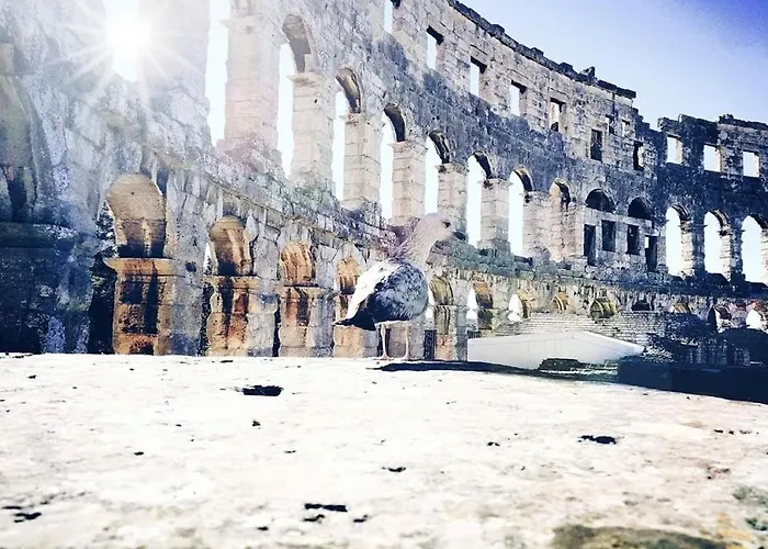 House Fontanele 펜션 *