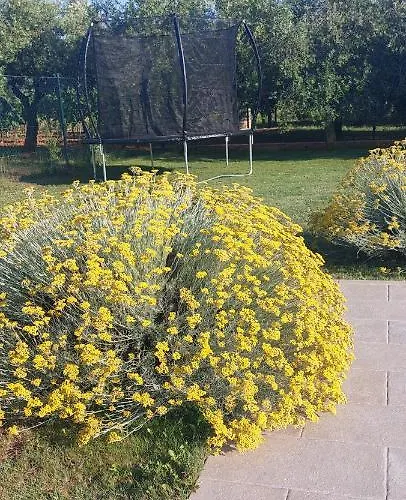 House Fontanele 펜션